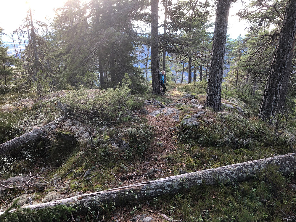 Fjellbråtakollen