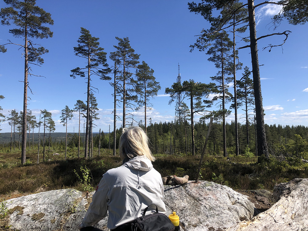 Utsikt fra Sommerfjøstoppen mot telemasta på nabotoppen