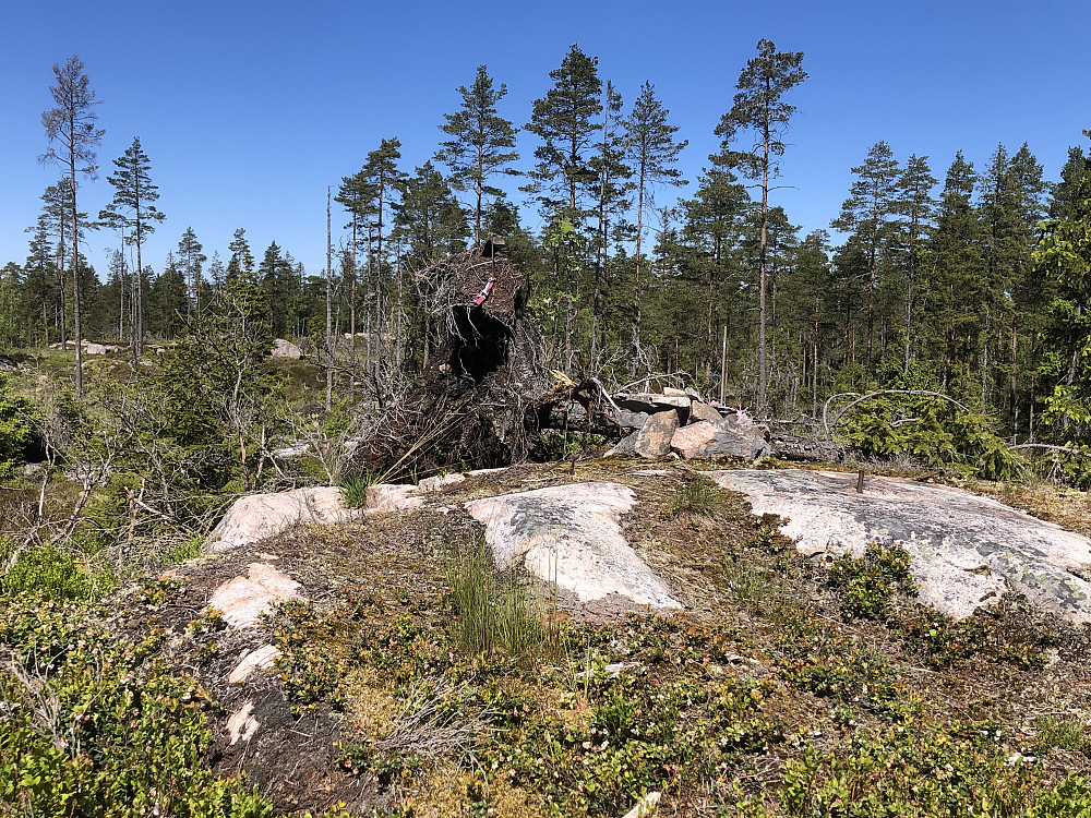 Slavasshøgda. Kommunetoppen til Rømskog kommune og Fylkestoppen i Østfold før 2016