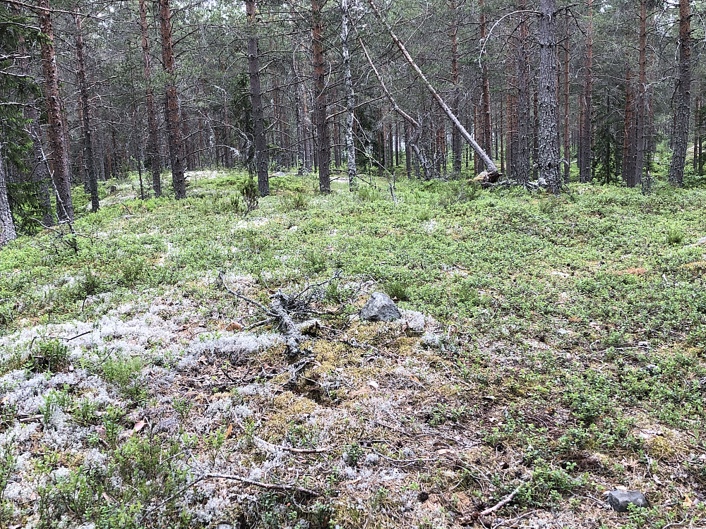 La en stein på det høyeste punktet av Raudkasthøgda. Bildet tatt mot syd