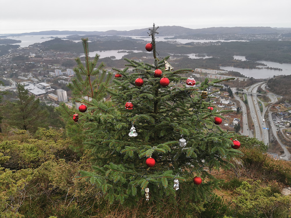 Advent! 