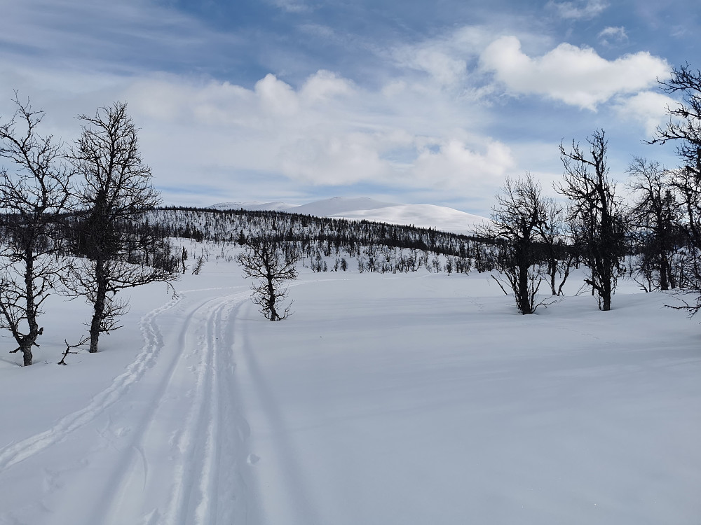 Langehovda med Gilafjellet bak 