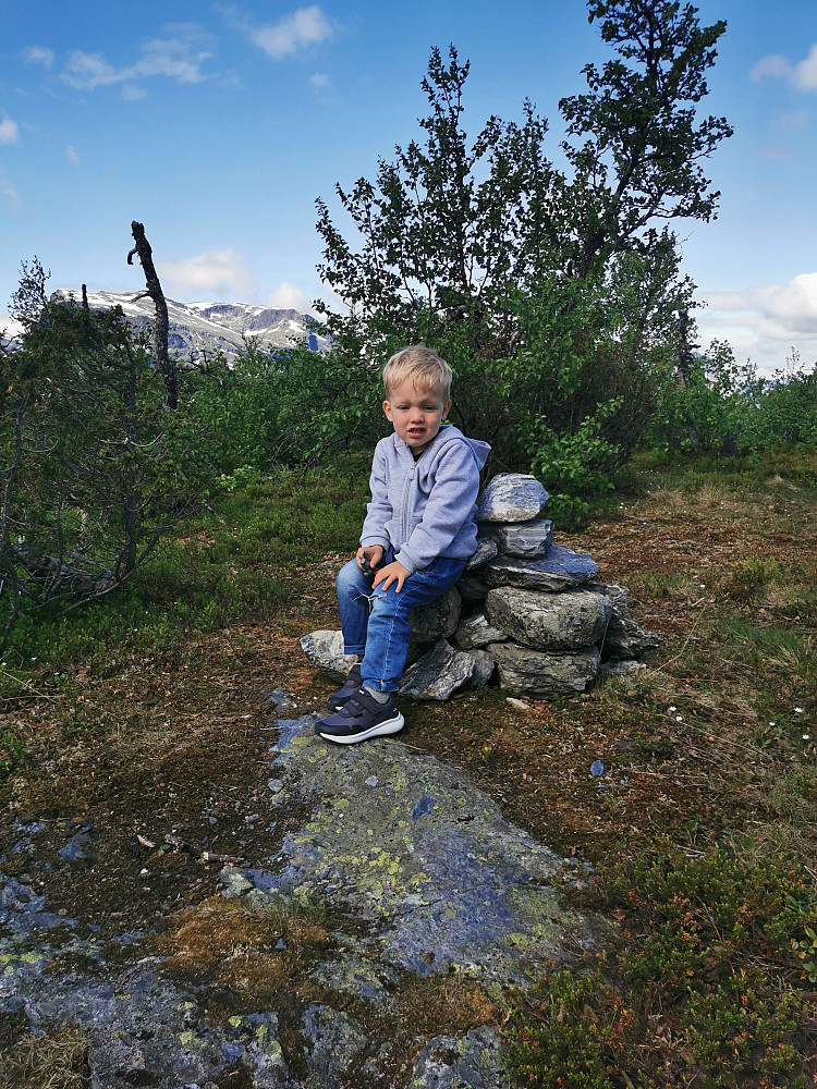Noen mindre "kongesteiner" (Hesthovdane) 