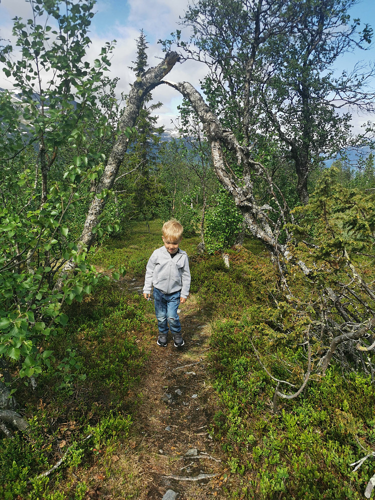 "Gjør porten høy..." 