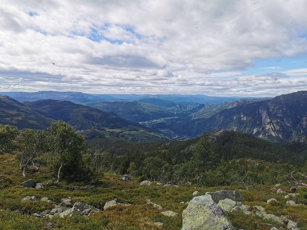 Skoggrensen, med tilbakeblikk mot Seljord