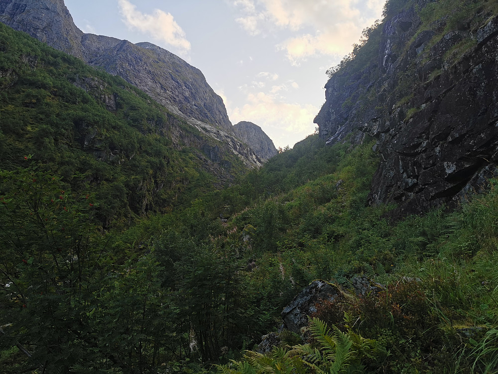 Tilbakeblikk over nedre del av dalen 