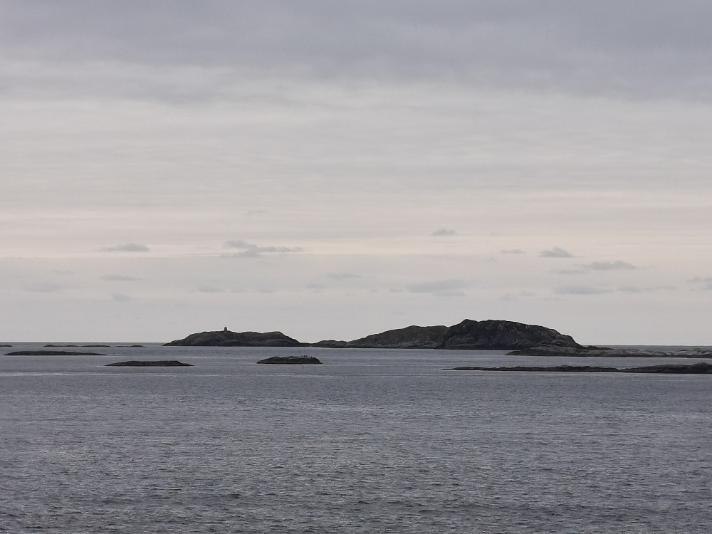 Bleikenøvlingen og Høgenøvlingen
