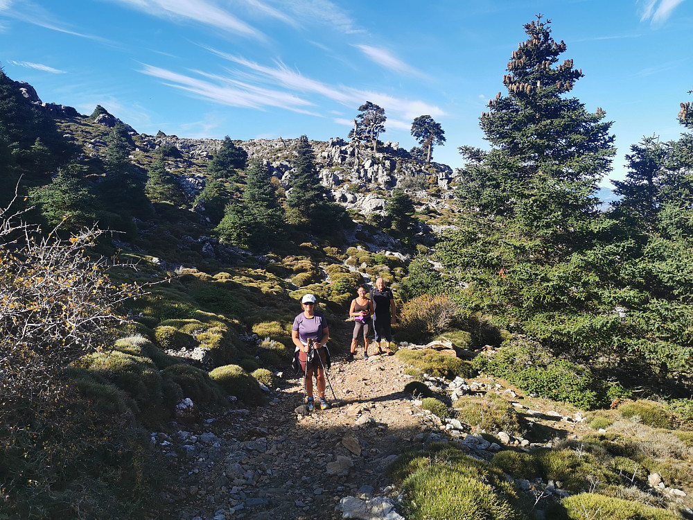 Granskogen passert, snart 1700 moh