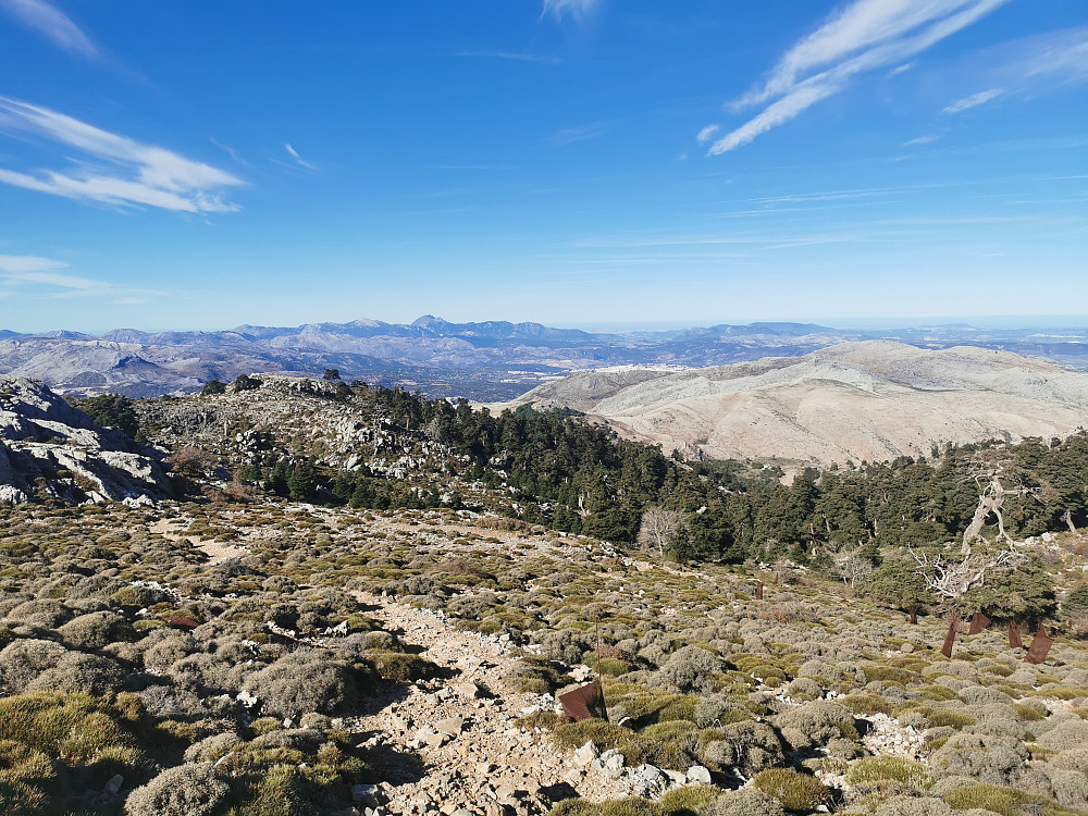 Tilbakeblikk mot nordvest ved Cerro de Pilones. Ronda i bakgrunnen. 