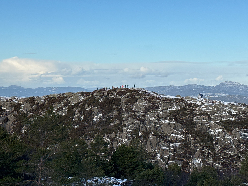 Sprek (antatt) pensjonistgruppe på Damsgårdsfjellet