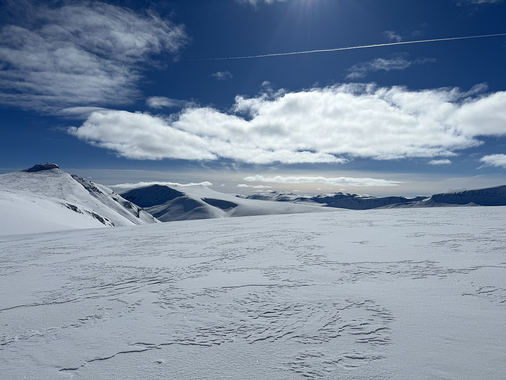 Høyfjellspåske!