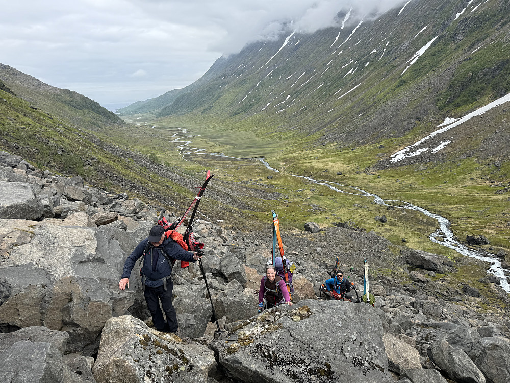 Strevsom kampesteinur. Fjorddalen bak