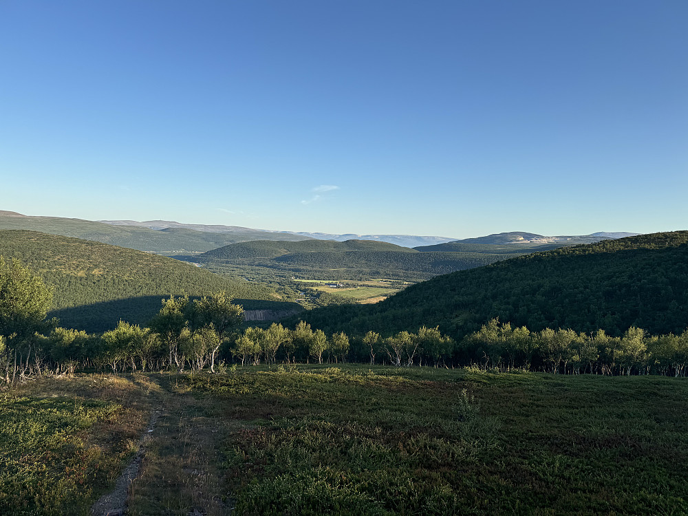 Over tregrensen. Litt av kvartsittbruddet synlig.