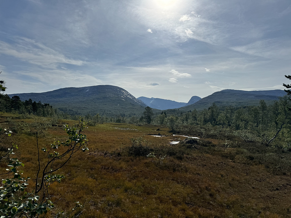 Utmarsj fra Simskarhytta neste dag. Kvigtinden stikker såvidt opp bak Måsskardfjellet midt i bildet