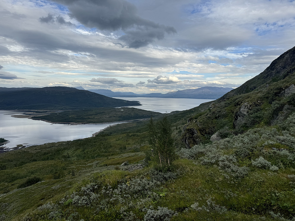 «Jungelen» unnagjort. Utsikt mot Tustervatnet, Storhaugen og Røssvatn
