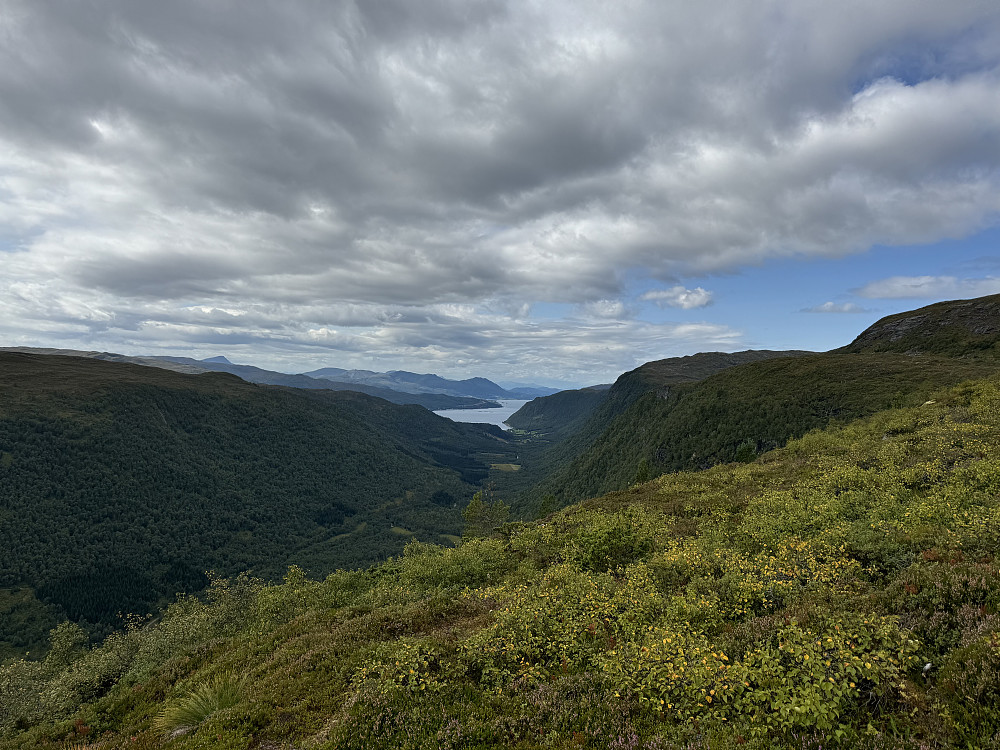 Utsikt sørvestover Todalen