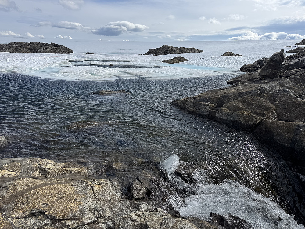 Vadested nordlige breelv(straff for pinglefakter)