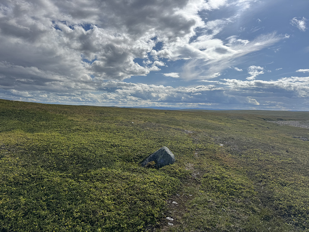 Endeløse vidder…
