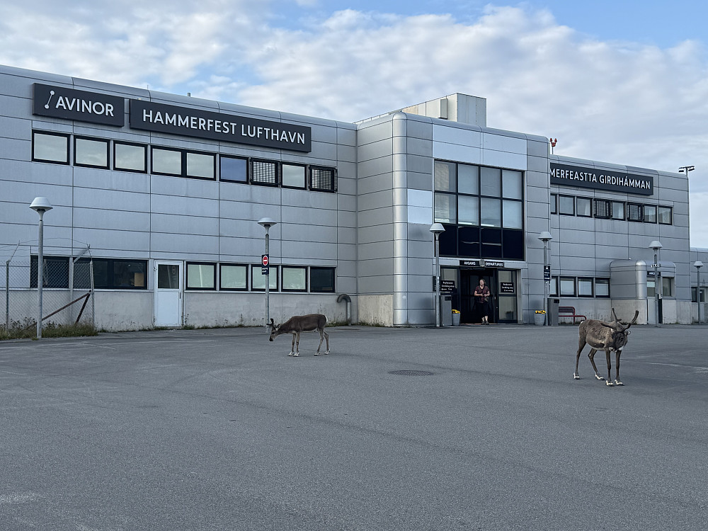Hammerfest Lufthavn. Lokale residenter som venter på ReinAir?