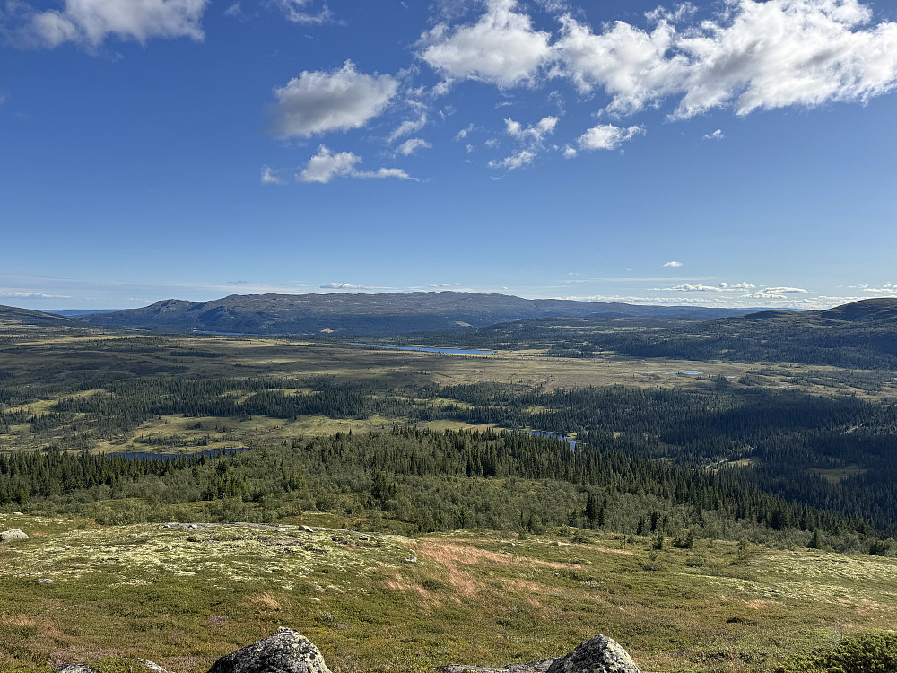 Sørlig retning; Synnfjell