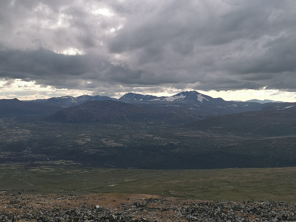 Stortopper på Dovre med Snøhetta. Storskrymten?? i det fjerne til høyre?|center]Planteprakten, som Knutshøyene er kjent for, var definitivt på hell, men etpar sjeldenhet var fortsatt i blomst. 
[[image:Uncas_20210804_610a784c76603.jpg|Blindurt