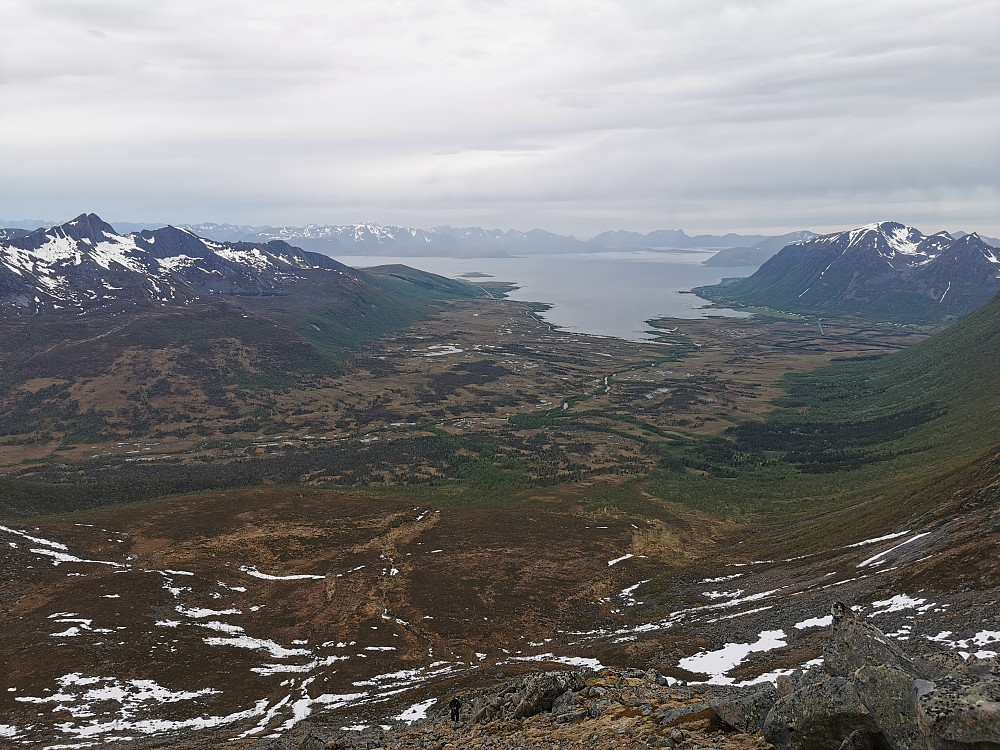 Utsikt over Forsfjorden, enn så lenge. 