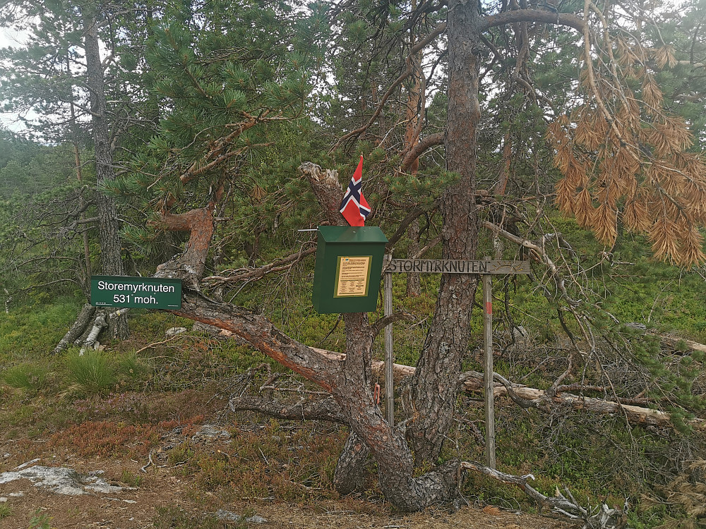 Norsk flagg på plass, da er jeg nok på rett topp! 