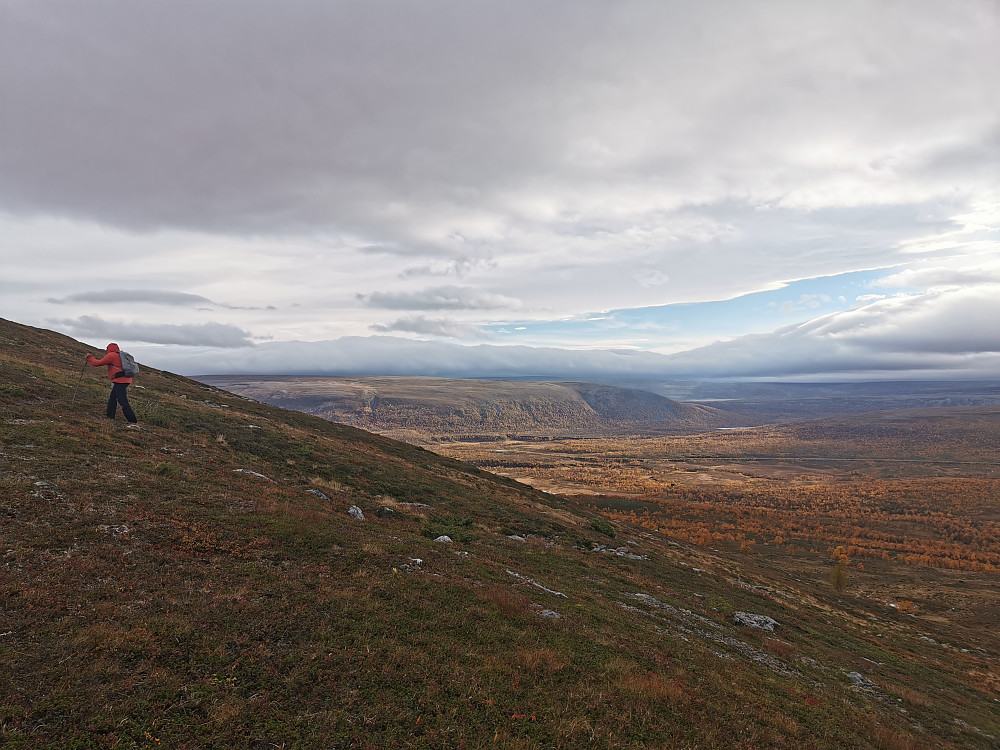 Utsikt mot Kjæsdalen fra stigningene opp mot Einerfjellet