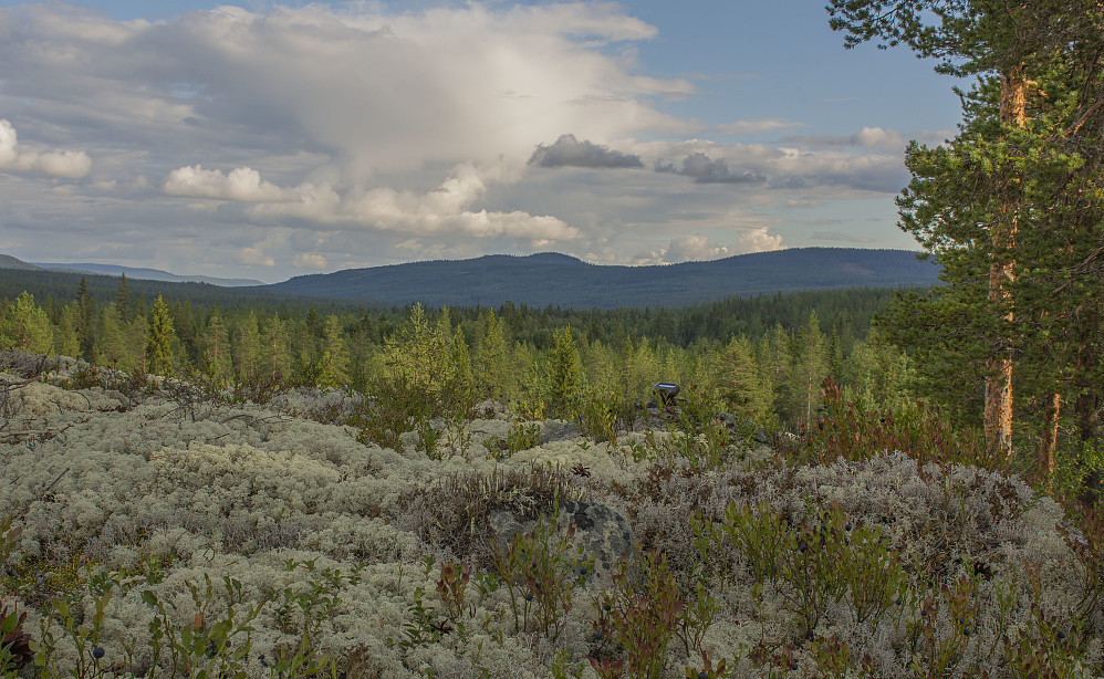 På toppen Vest for Villoset 516moh.