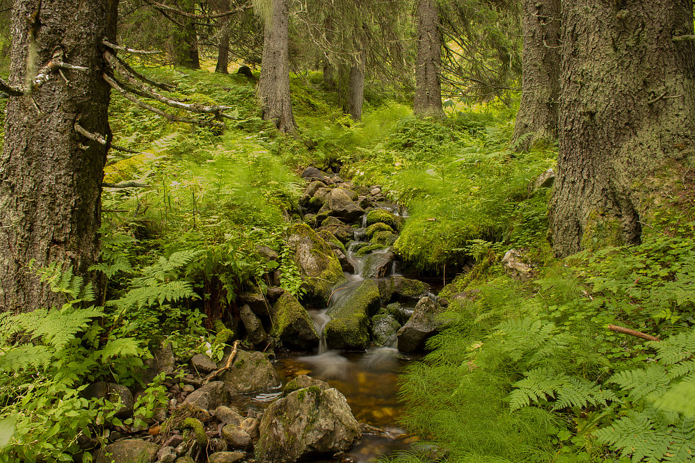 Turtroa naturreservat.