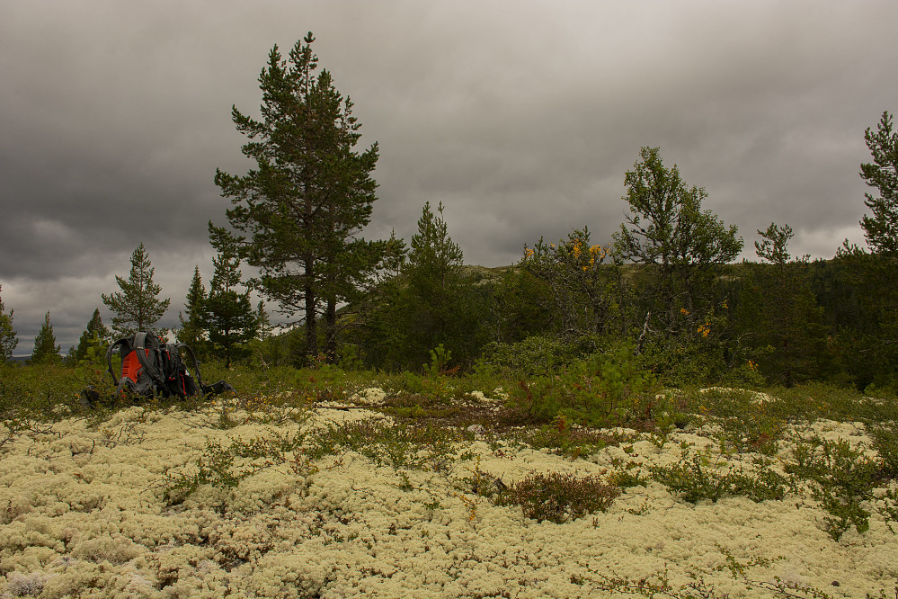 Volkampen(832) Litt av Blikufjellet i bakgrunnen.