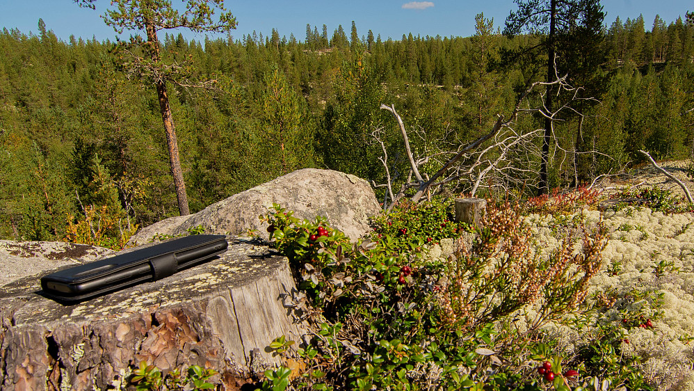 Nordvest for Blikuenget (480moh)