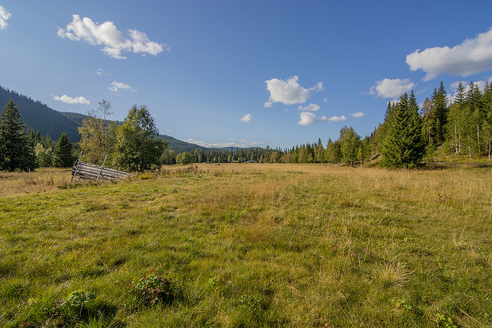 Plassen Buøya lengst nord i Slemdalen.
Den siste fastboende flyttet i 1891.
Det var Olea Buøyen, hun var min tippoldemor.