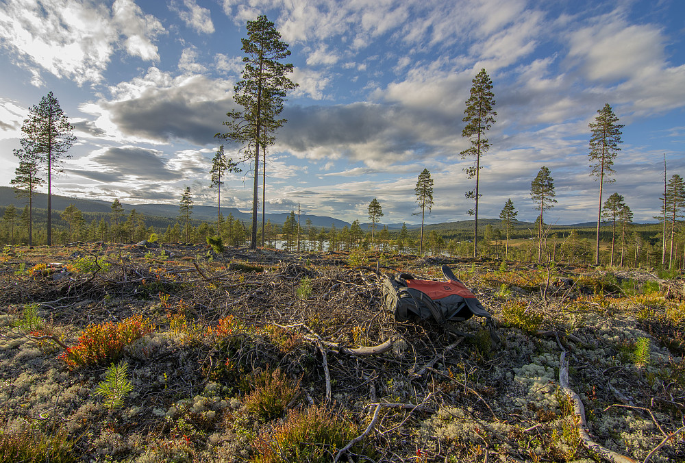 Sør for Slemsjøen (489moh)