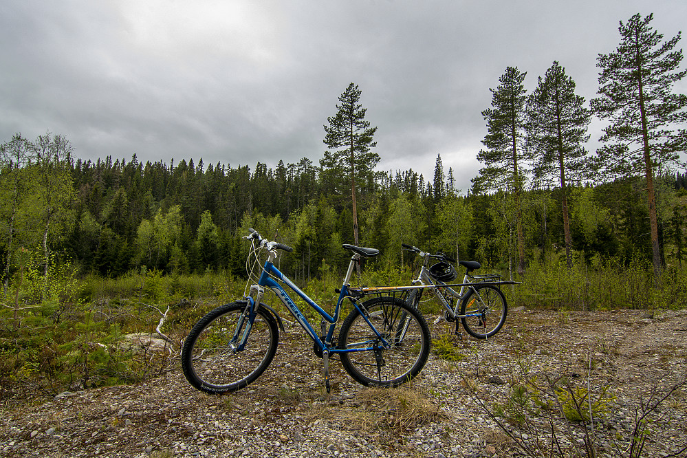 Sykkel og fottur.