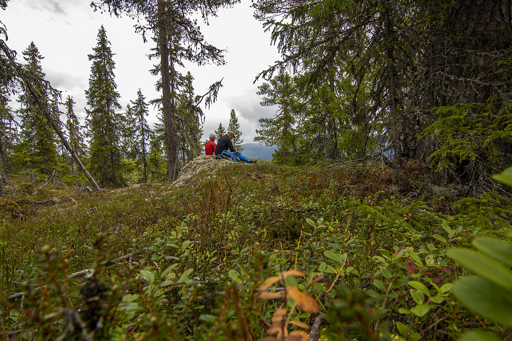 Sørøst for Skjeråsen (512 moh )