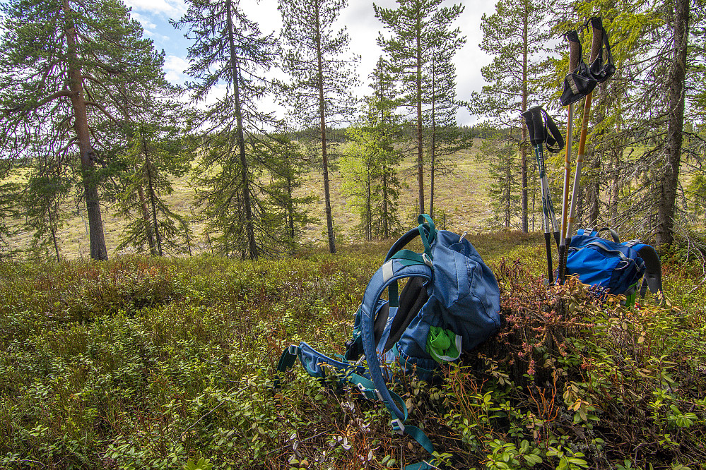 Skjærveggen toppen (483moh)