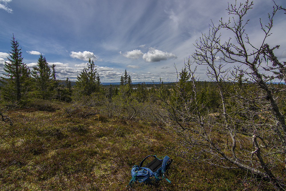 Osdalshøgda (904moh).
Ser litt av Finnskjeggtjennet.