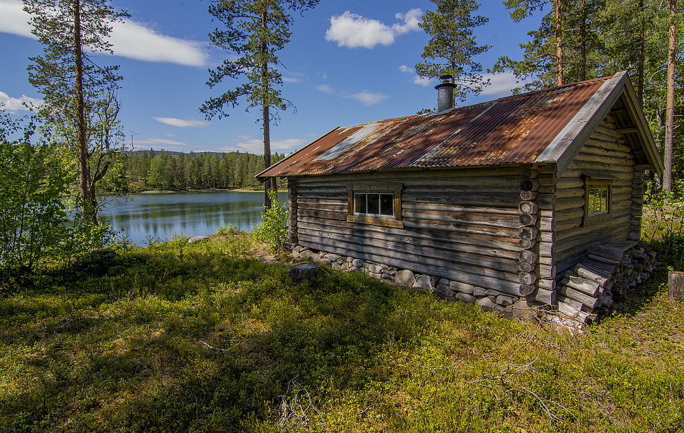 Slettmotjennet.