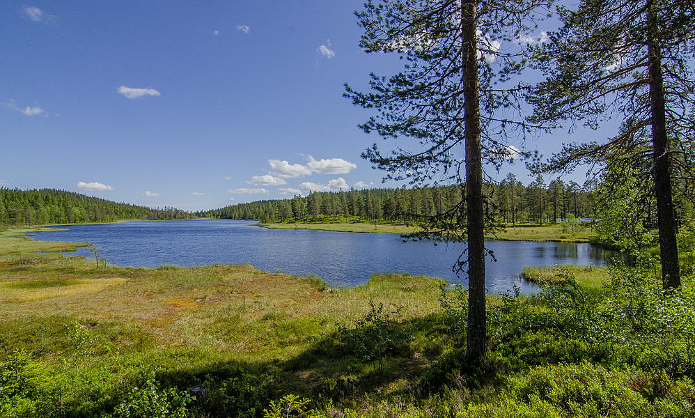 Mellomsjøen.