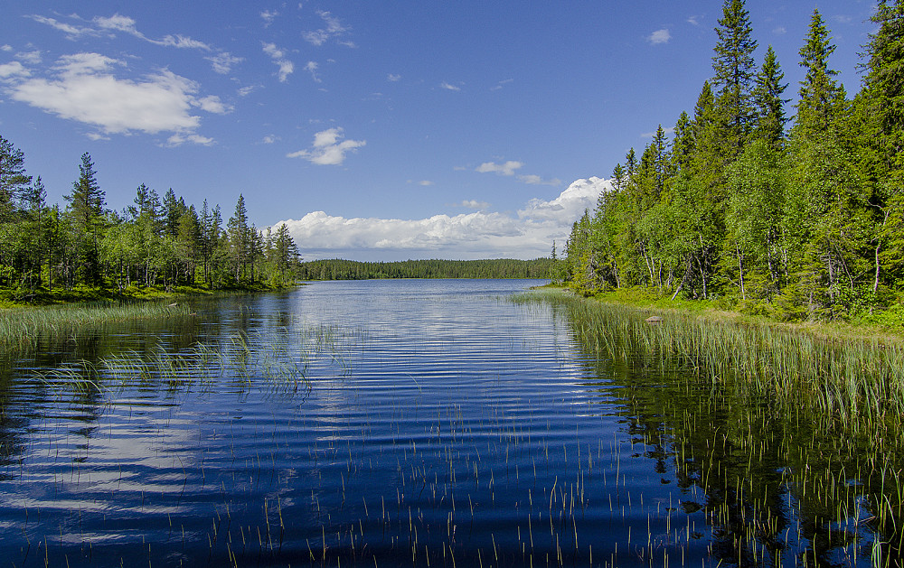 Østersjøen.