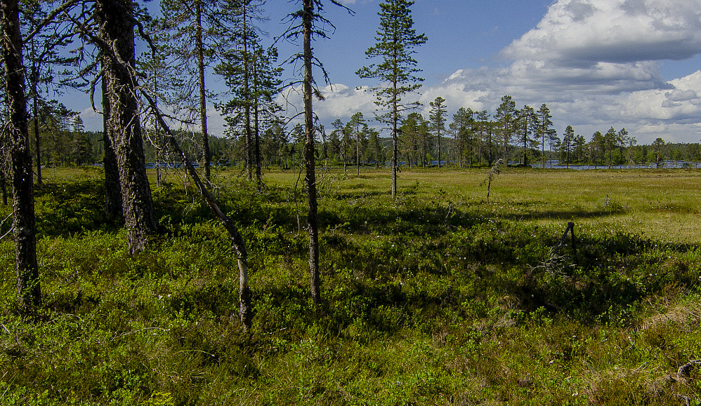 Holmsjøen.