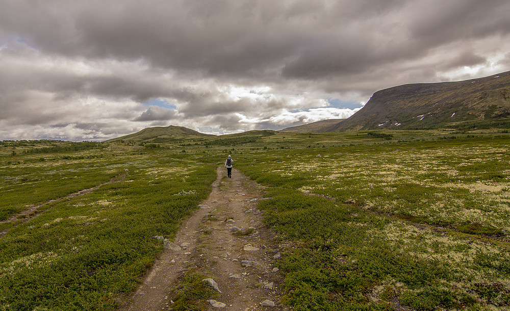 Haukskardmyrin naturreservat, Mehøe til venstre og Blåberget til høyre.