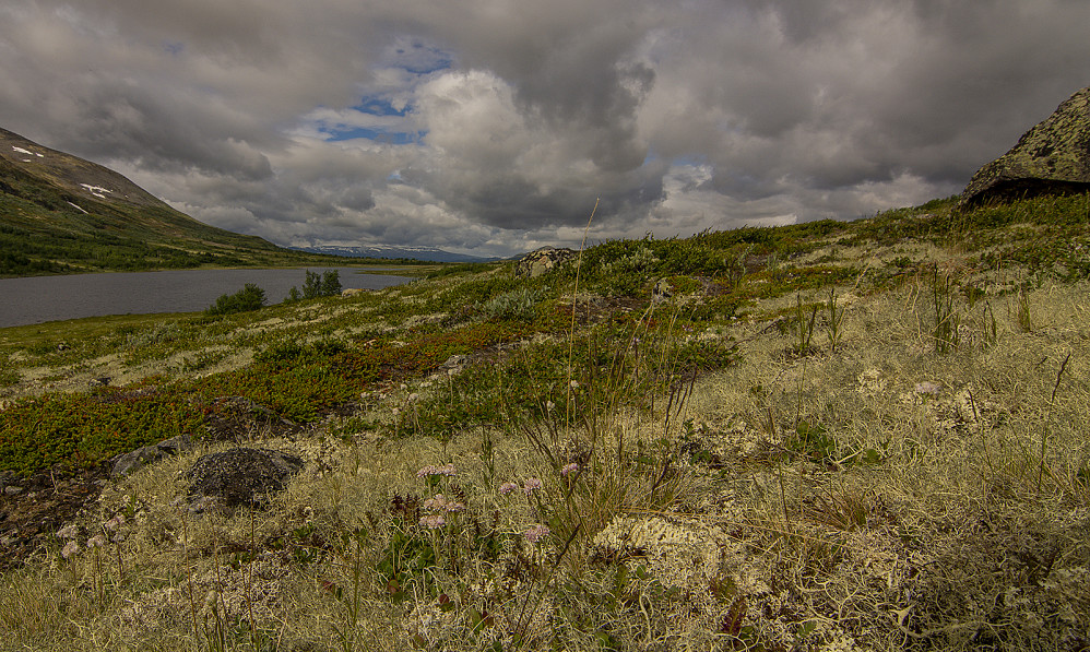 Haukskardtjørni.