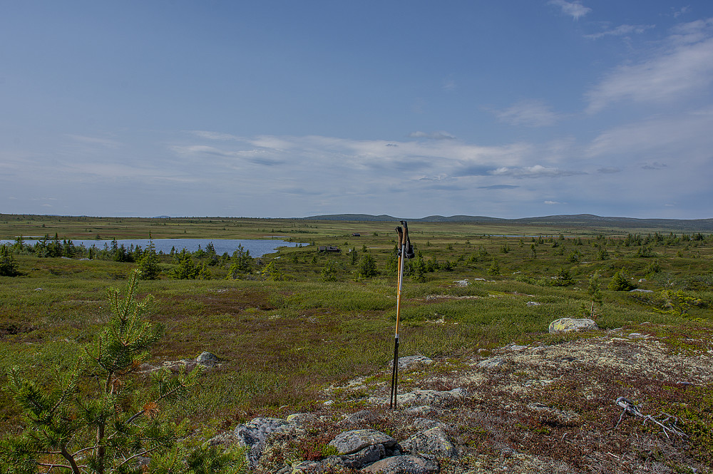 Toppen Øst for store Steinsjøen (897moh).