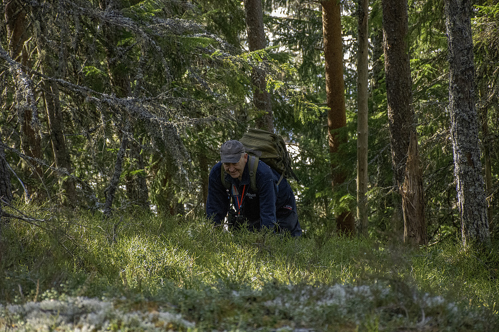 Arne snart på toppen.