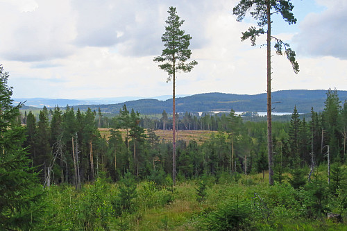 Utsikt fra Synnersveberget mot Stor-Bronken