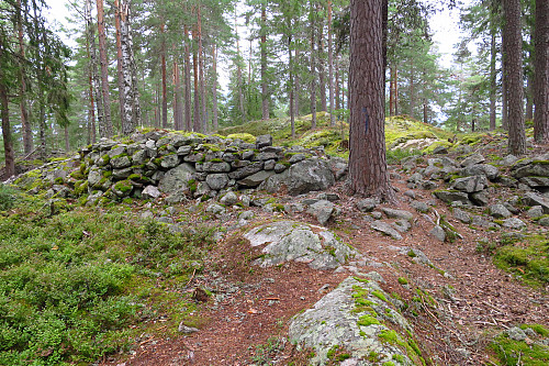 Festningsberget sett fra syd, den eneste stenmuren på bygdeborgen.