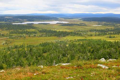 Akksjøen sett fra Steinsvikfjellet