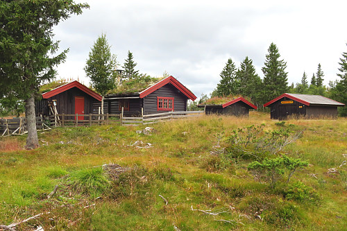 Midtfjellkoia, det var ingen servering i dag